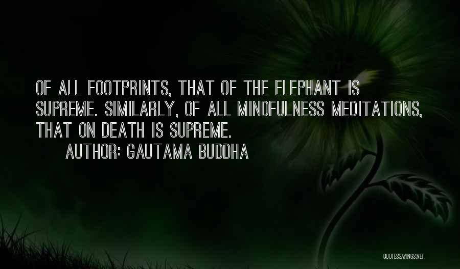 Buddhist Meditation Quotes By Gautama Buddha