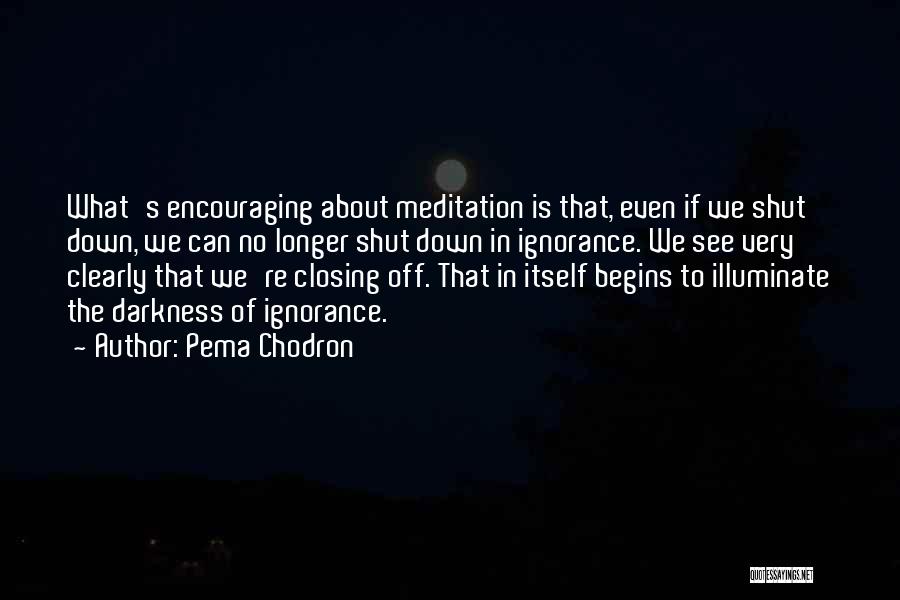 Buddhist Meditation Quotes By Pema Chodron