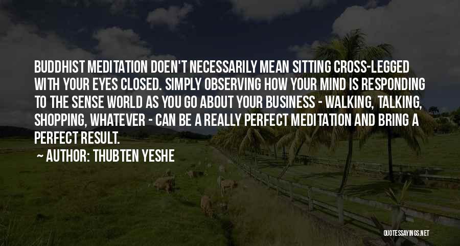 Buddhist Meditation Quotes By Thubten Yeshe