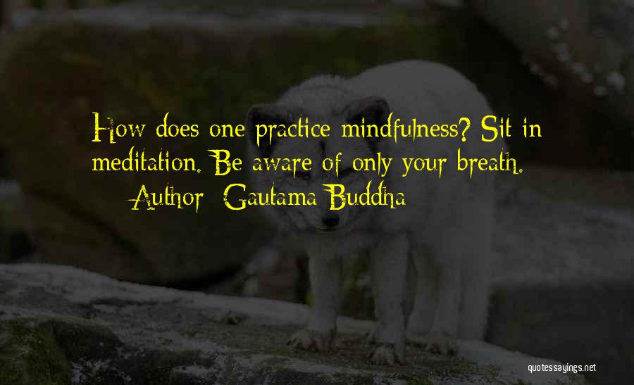 Buddhist Mindfulness Quotes By Gautama Buddha