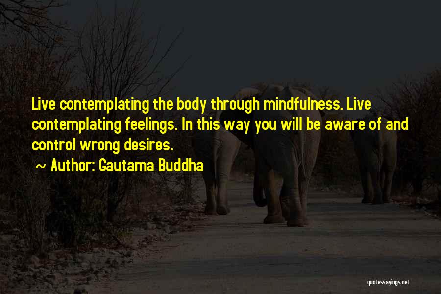 Buddhist Mindfulness Quotes By Gautama Buddha