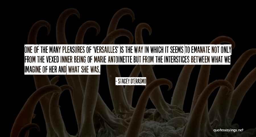 Buddhist Monastery Quotes By Stacey D'Erasmo Buddhist Monastery Quotes By Stacey D'Erasmo