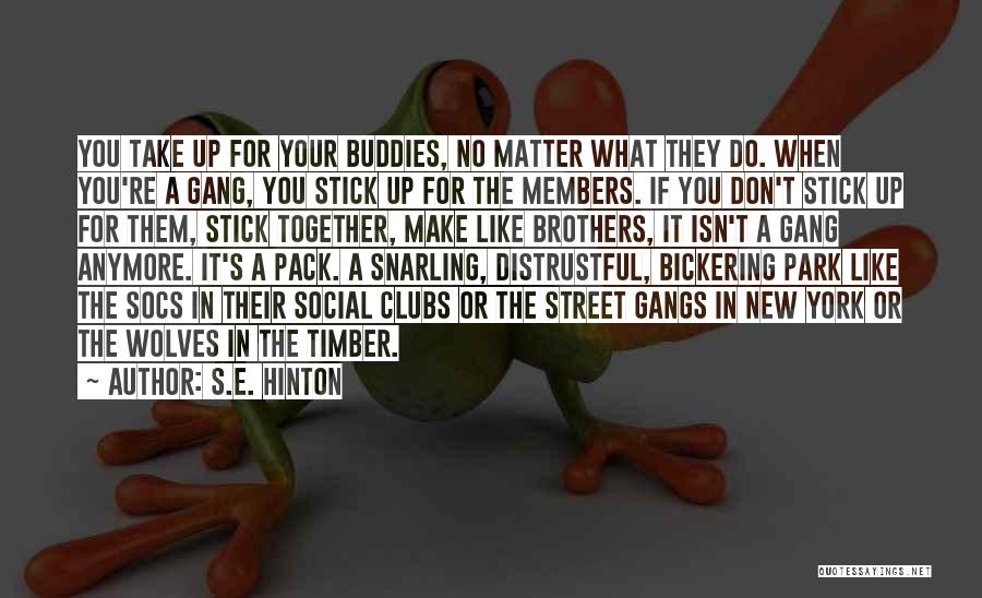 Buddies Quotes By S.E. Hinton