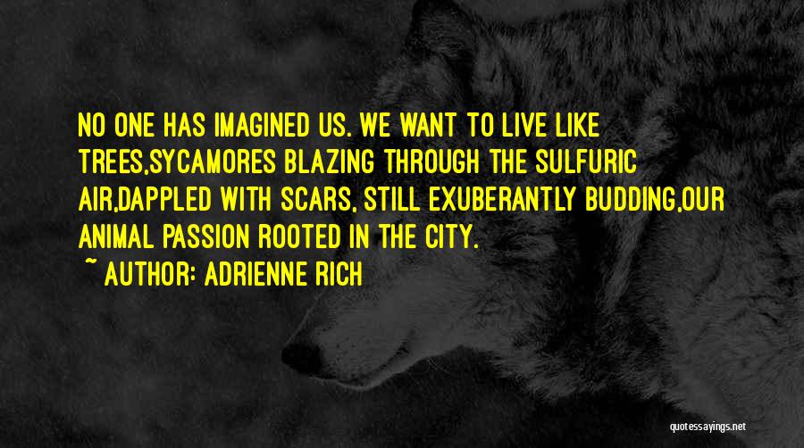 Budding Love Quotes By Adrienne Rich