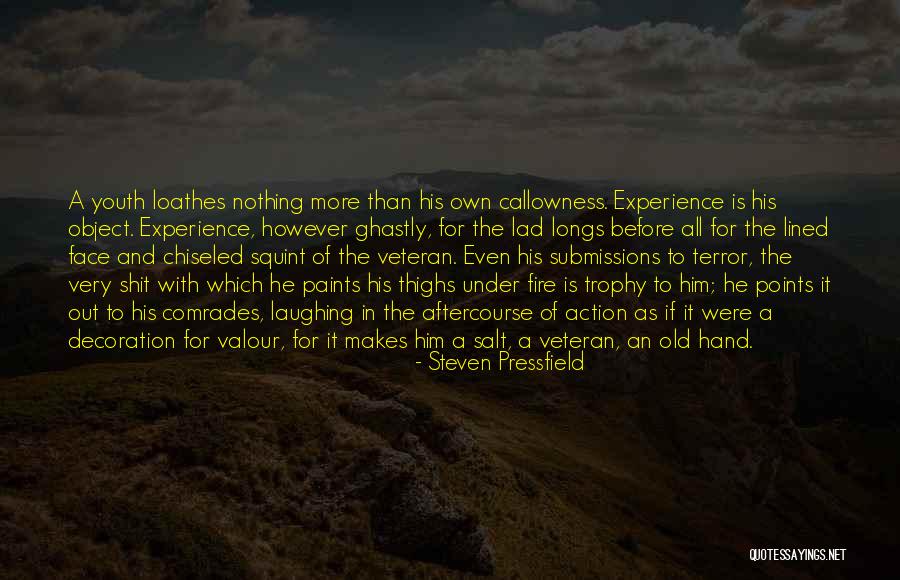 Buddypress Plugin Quotes By Steven Pressfield