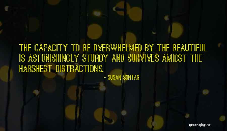 Budemeadows Quotes By Susan Sontag Budemeadows Quotes By Susan Sontag