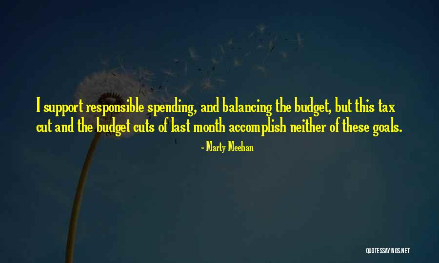 Budget Cuts Quotes By Marty Meehan