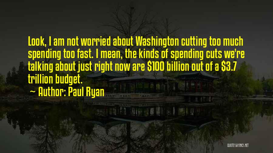 Budget Cuts Quotes By Paul Ryan