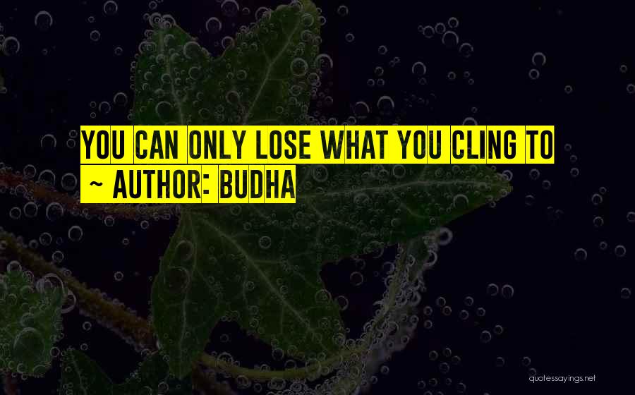 Budha Quotes 1937252