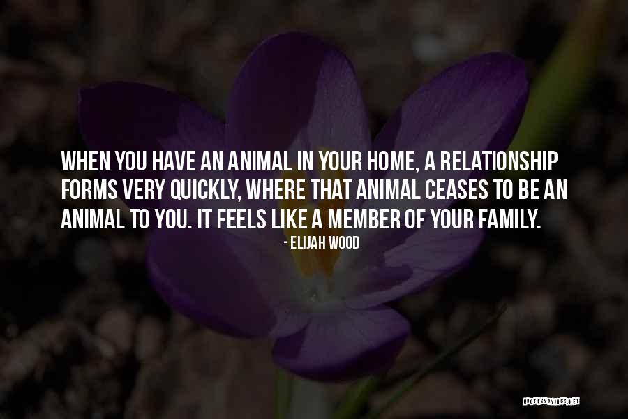 Budischowsky Immobilien Quotes By Elijah Wood Budischowsky Immobilien Quotes By Elijah Wood