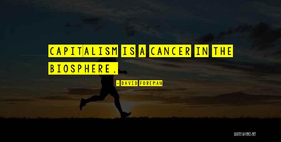 Budismo Definicion Quotes By David Foreman Budismo Definicion Quotes By David Foreman