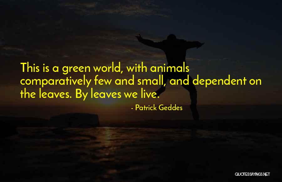 Budnik Rims Quotes By Patrick Geddes Budnik Rims Quotes By Patrick Geddes