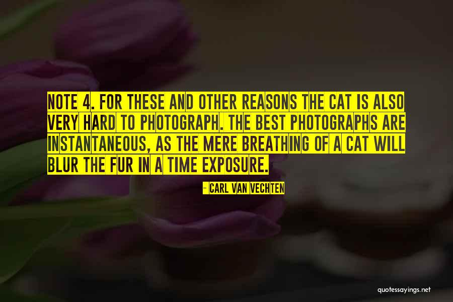 Budoff Somerville Quotes By Carl Van Vechten Budoff Somerville Quotes By Carl Van Vechten