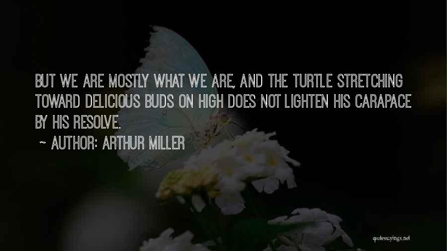 Buds Quotes By Arthur Miller