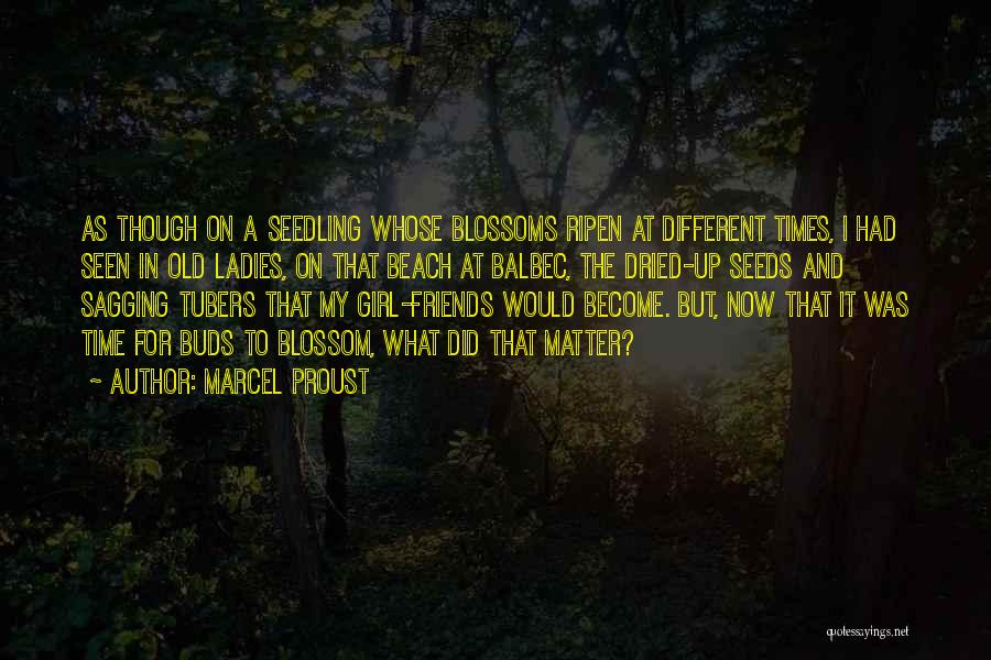 Buds Quotes By Marcel Proust