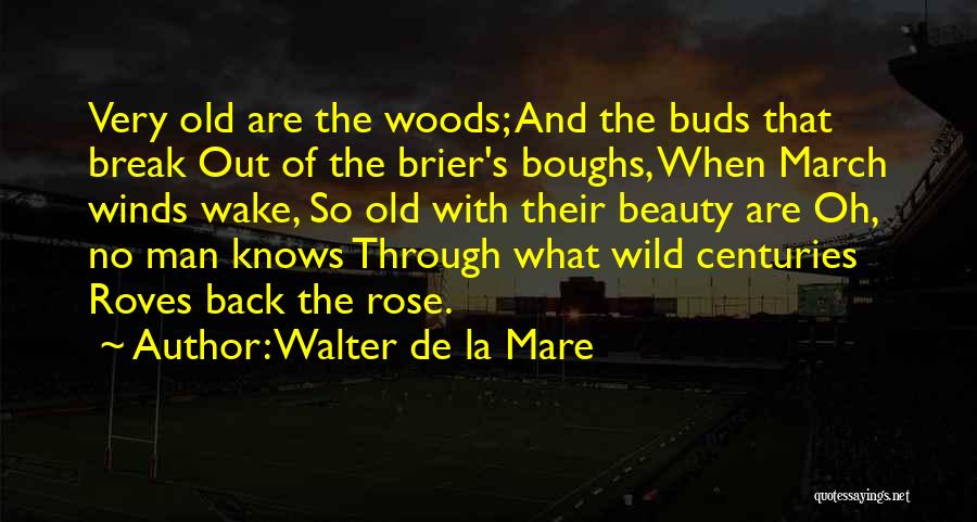 Buds Quotes By Walter De La Mare