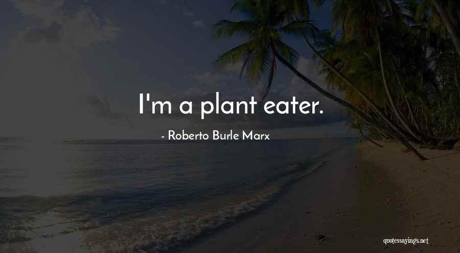 Budu Nostalgic Quotes By Roberto Burle Marx