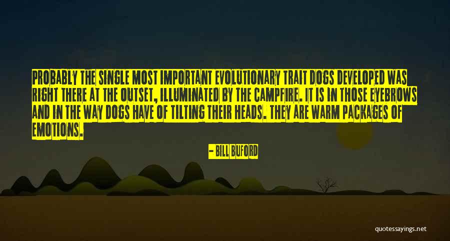 Buecker Quotes By Bill Buford Buecker Quotes By Bill Buford