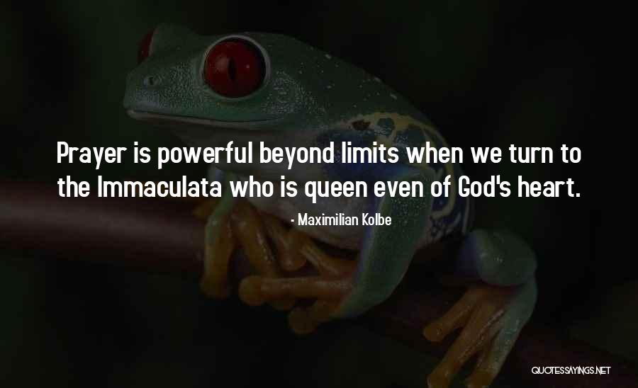 Buenas Noches Carino Quotes By Maximilian Kolbe