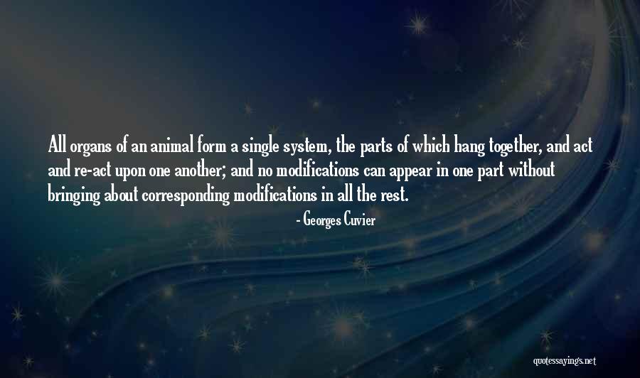 Buenos Dias Inspirational Quotes By Georges Cuvier Buenos Dias Inspirational Quotes By Georges Cuvier