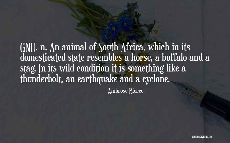 Buffalo Animal Quotes By Ambrose Bierce Buffalo Animal Quotes By Ambrose Bierce