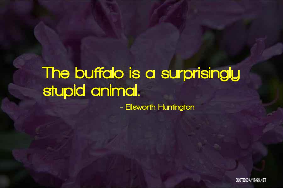 Buffalo Animal Quotes By Ellsworth Huntington