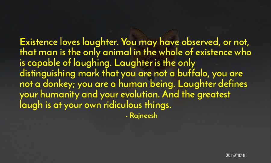 Buffalo Animal Quotes By Rajneesh Buffalo Animal Quotes By Rajneesh