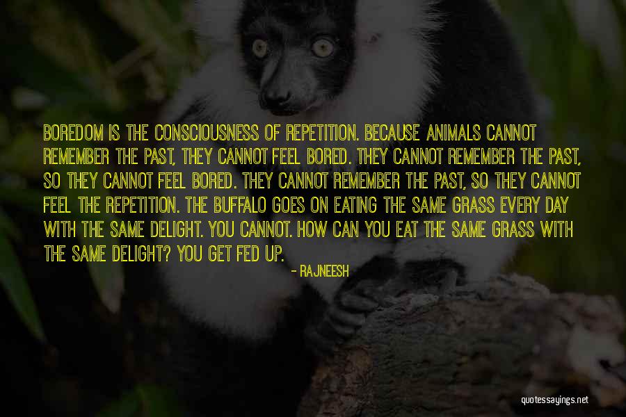 Buffalo Animal Quotes By Rajneesh Buffalo Animal Quotes By Rajneesh