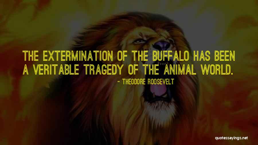 Buffalo Animal Quotes By Theodore Roosevelt Buffalo Animal Quotes By Theodore Roosevelt