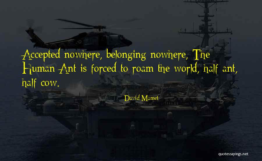 Buffalo Chicken Dip Quotes By David Mamet Buffalo Chicken Dip Quotes By David Mamet