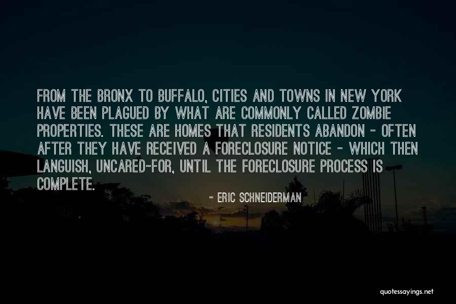 Buffalo New York Quotes By Eric Schneiderman Buffalo New York Quotes By Eric Schneiderman