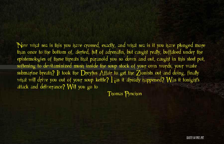 Buffaloed Quotes By Thomas Pynchon Buffaloed Quotes By Thomas Pynchon