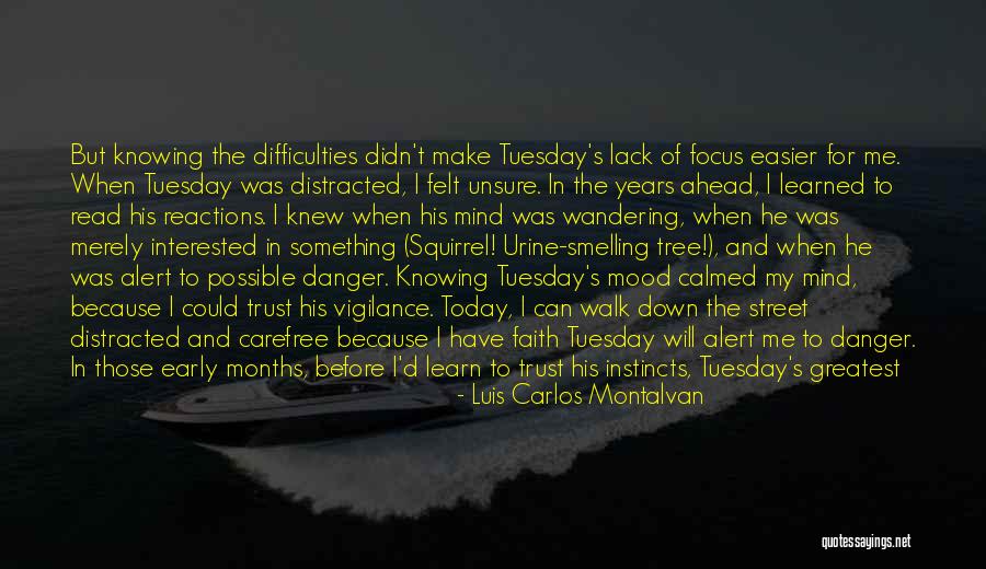 Buffer Quotes By Luis Carlos Montalvan Buffer Quotes By Luis Carlos Montalvan