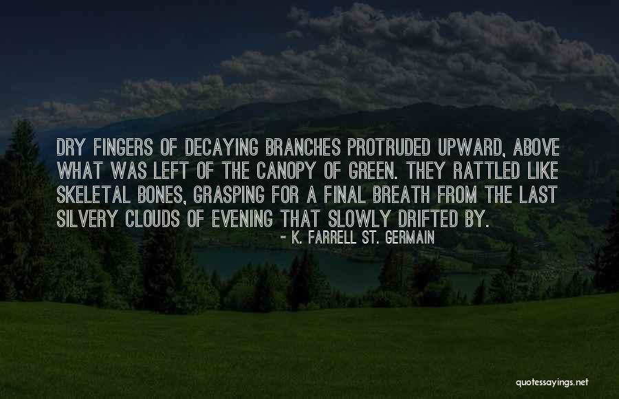 Buffini And Co Quotes By K. Farrell St. Germain Buffini And Co Quotes By K. Farrell St. Germain