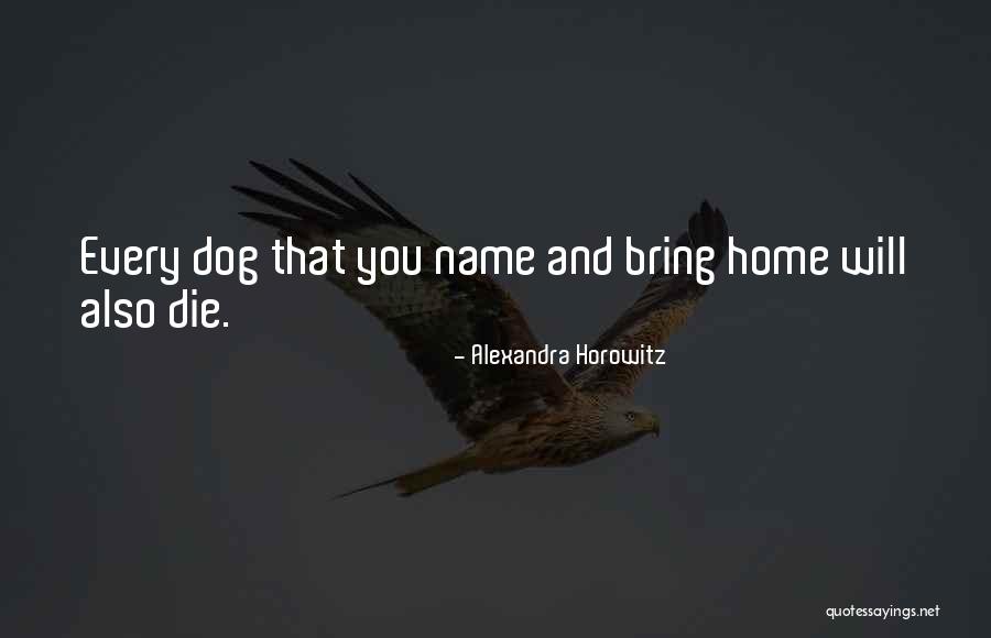 Buffon Scientist Quotes By Alexandra Horowitz Buffon Scientist Quotes By Alexandra Horowitz