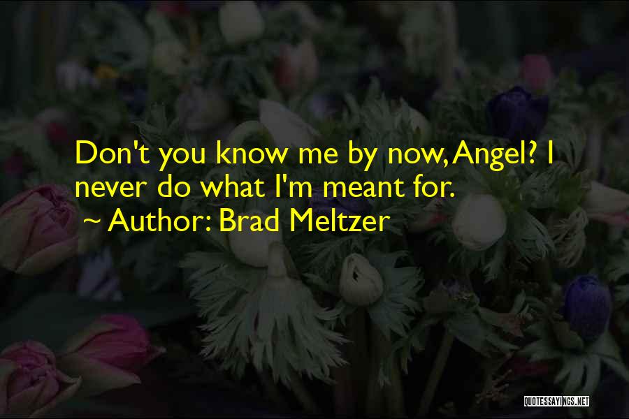 Buffy Vampire Slayer Quotes By Brad Meltzer