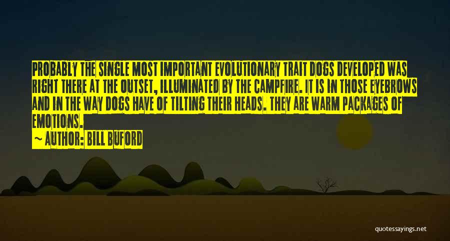 Buford Quotes By Bill Buford