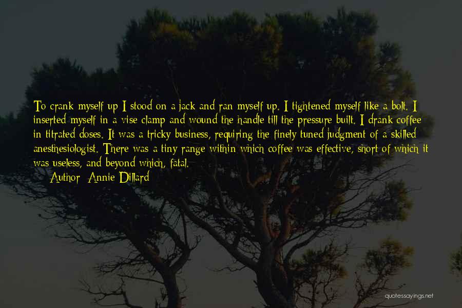 Bug Out Bag Quotes By Annie Dillard