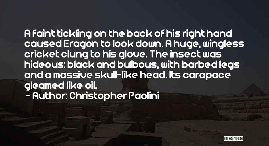 Bug Quotes By Christopher Paolini