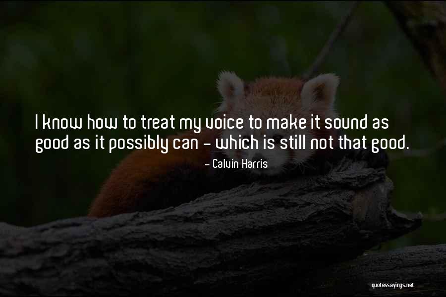 Bugarski Pasos Quotes By Calvin Harris Bugarski Pasos Quotes By Calvin Harris