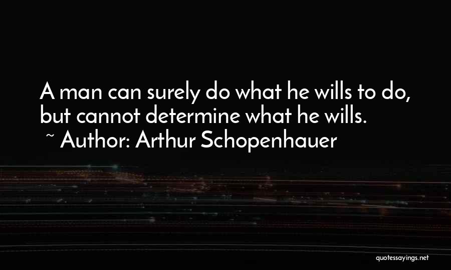 Bugbear Entertainment Quotes By Arthur Schopenhauer