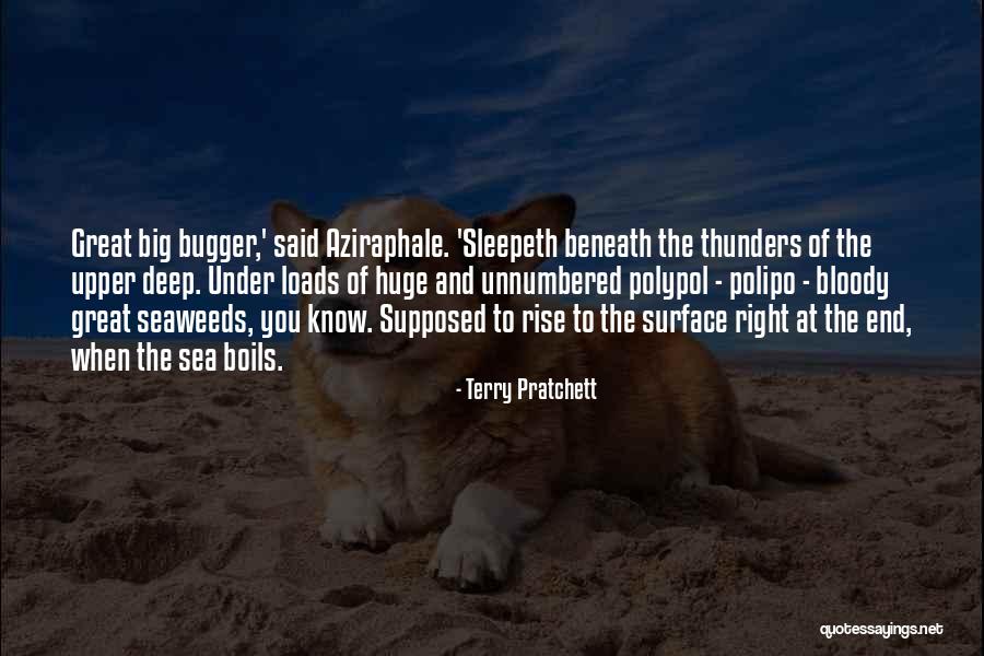 Bugger Off You Bloody Quotes By Terry Pratchett Bugger Off You Bloody Quotes By Terry Pratchett