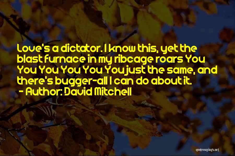 Bugger Quotes By David Mitchell