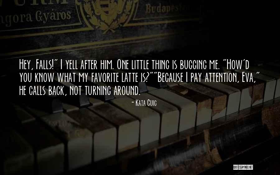 Bugging You Quotes By Kata Cuic Bugging You Quotes By Kata Cuic