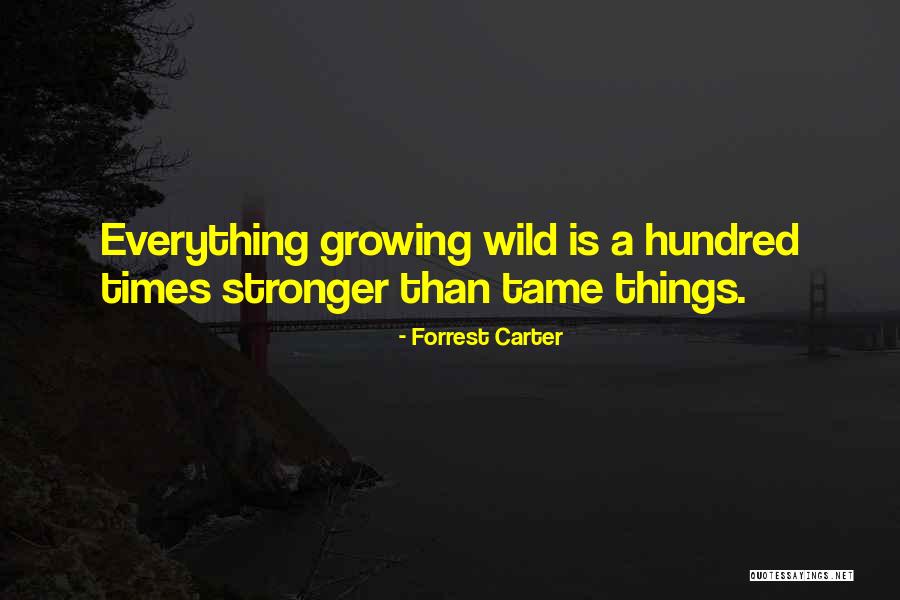 Buggy Bunny Quotes By Forrest Carter Buggy Bunny Quotes By Forrest Carter
