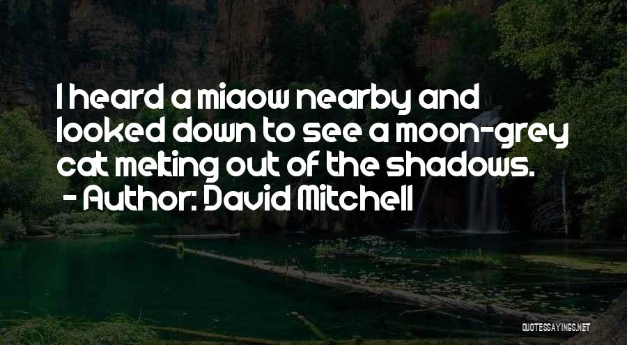 Bugiardo E Quotes By David Mitchell