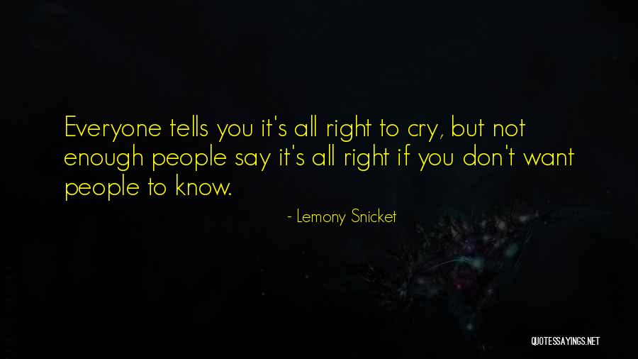 Bugiardo E Quotes By Lemony Snicket Bugiardo E Quotes By Lemony Snicket