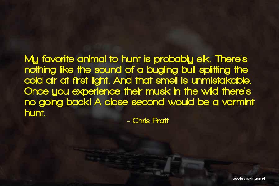 Bugling Quotes By Chris Pratt Bugling Quotes By Chris Pratt