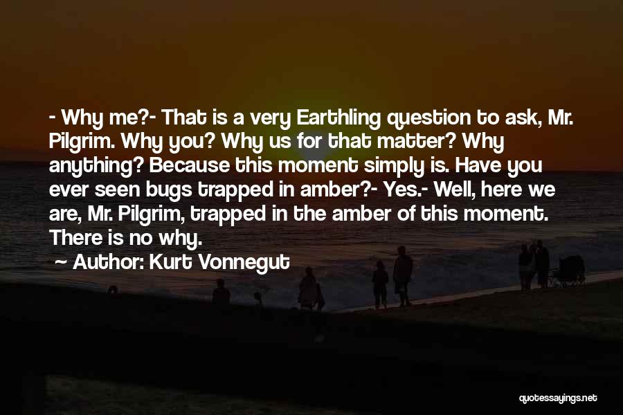 Bugs In Amber Quotes By Kurt Vonnegut
