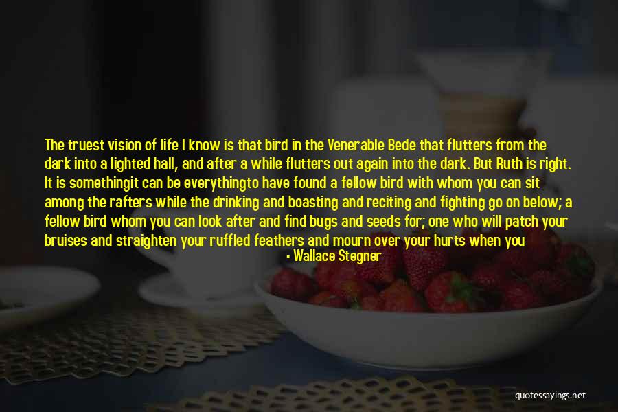 Bugs Life Quotes By Wallace Stegner Bugs Life Quotes By Wallace Stegner